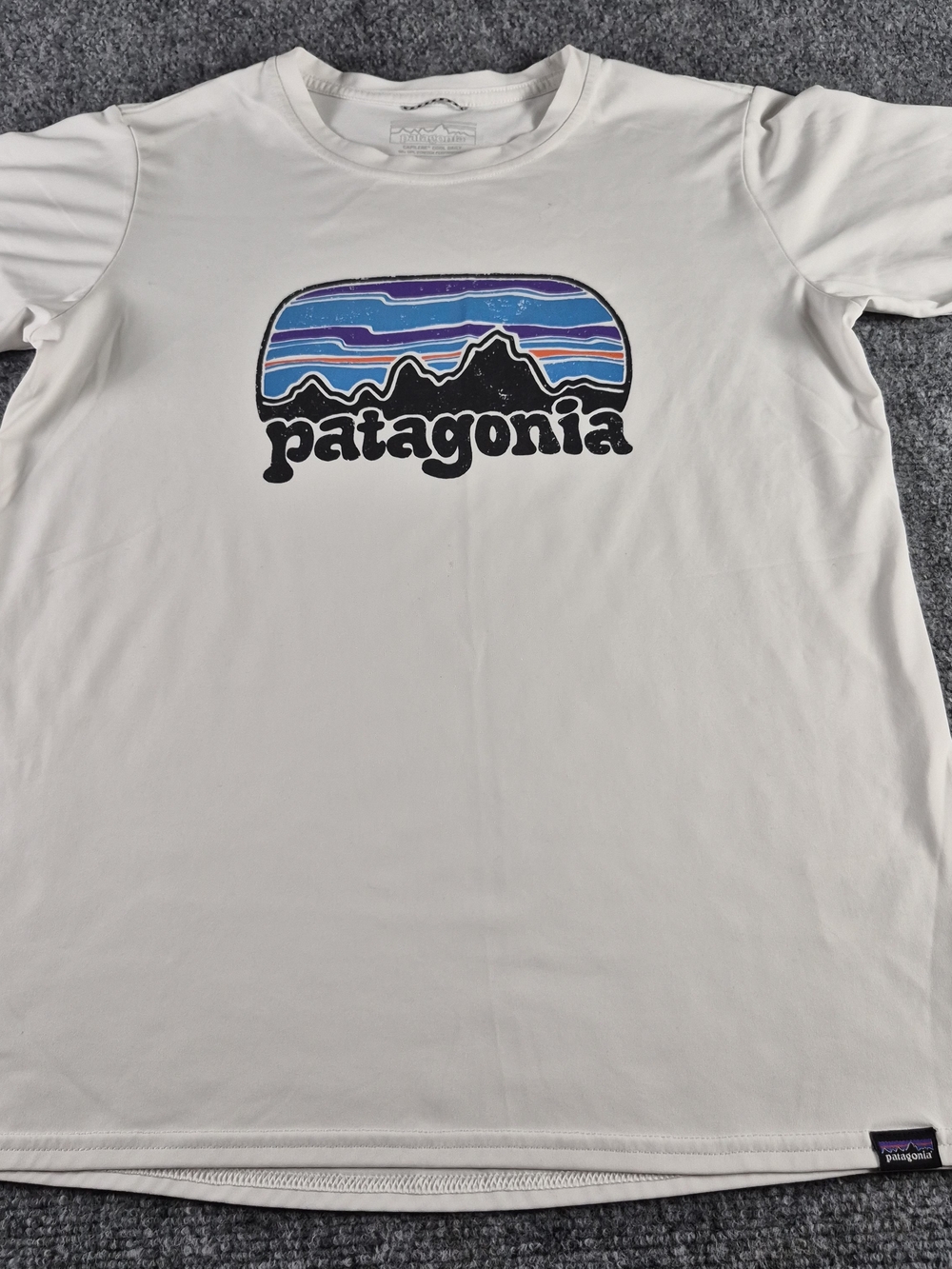 Patagonia White Graphic Logo Tee - Blue & Purple Mountain Print